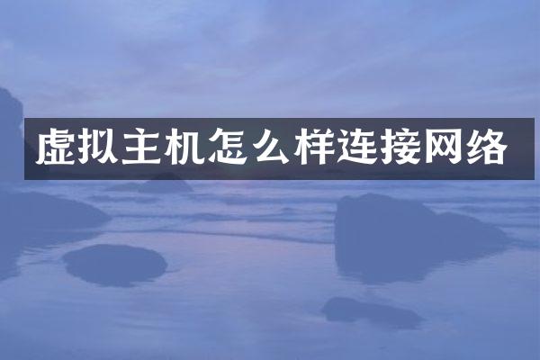 虚拟主机怎么样连接网络