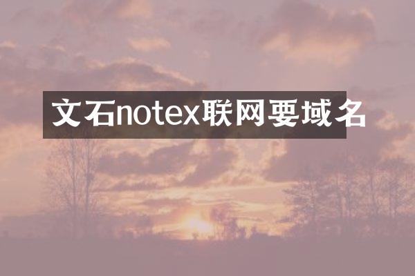 文石notex联网要域名