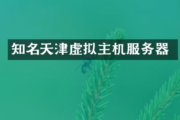 知名天津虚拟主机服务器