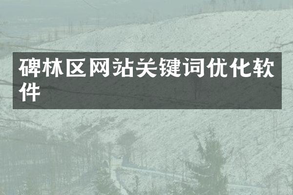 碑林区网站关键词优化软件