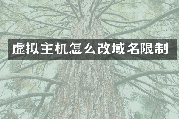 虚拟主机怎么改域名限制