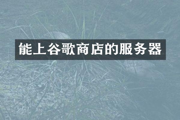 能上谷歌商店的服务器