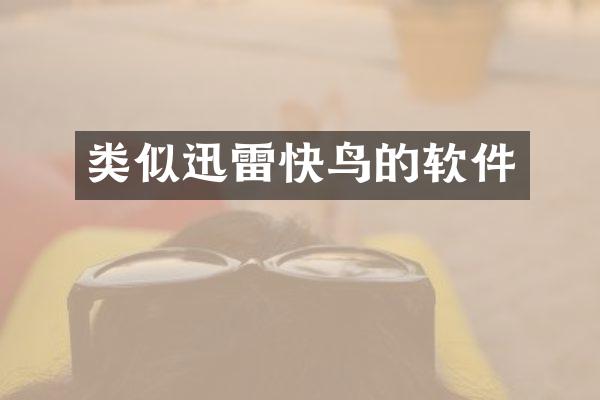 类似迅雷快鸟的软件