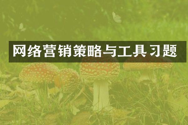 网络营销策略与工具习题