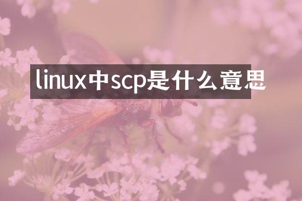 linux中scp是什么意思