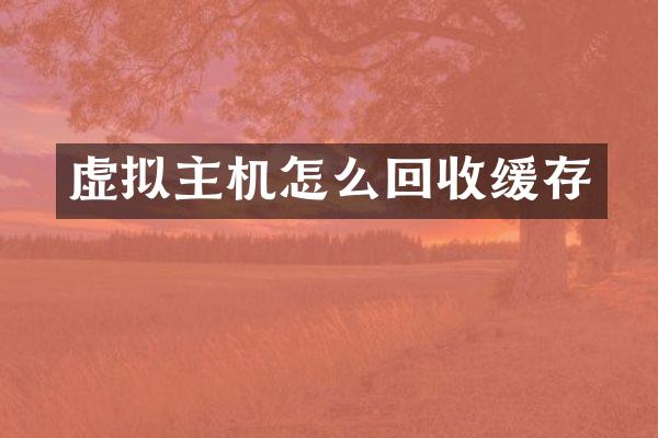 虚拟主机怎么回收缓存