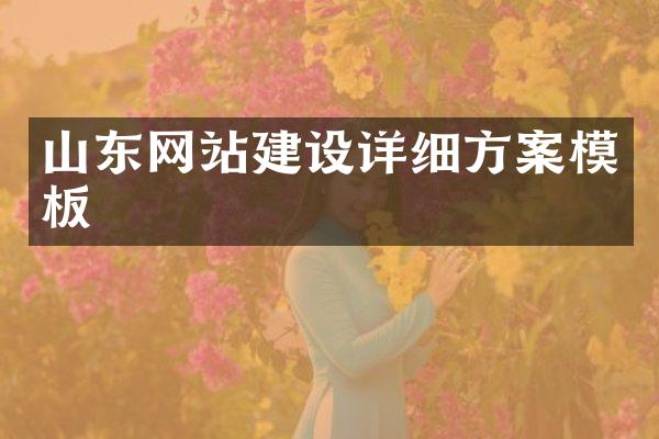 山东网站建设详细方案模板