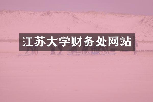 江苏大学财务处网站