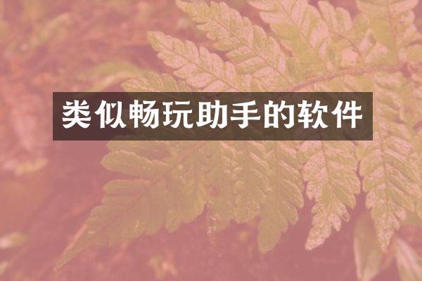 类似畅玩助手的软件