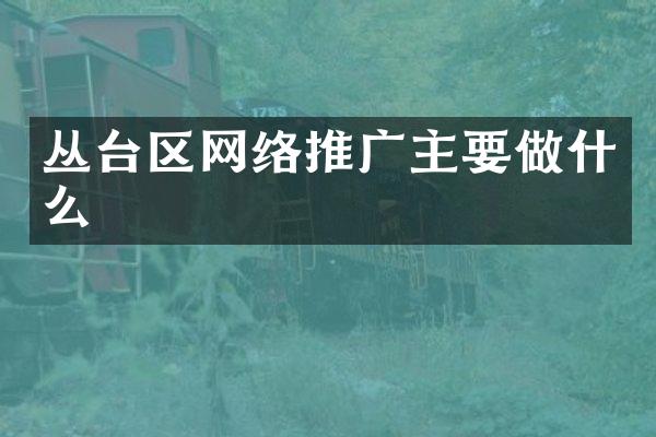 丛台区网络推广主要做什么