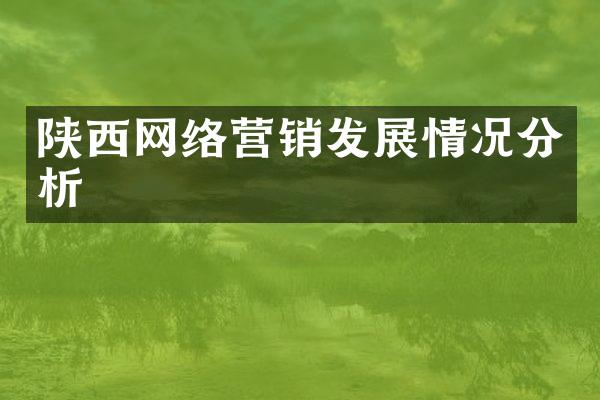 陕西网络营销发展情况分析