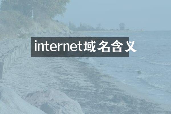 internet域名含义