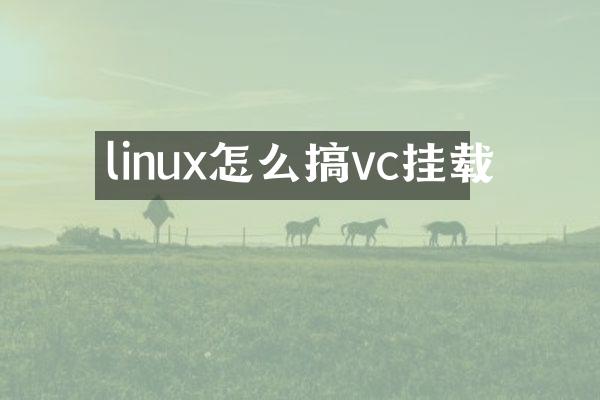 linux怎么搞vc挂载