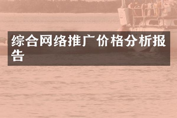 综合网络推广价格分析报告