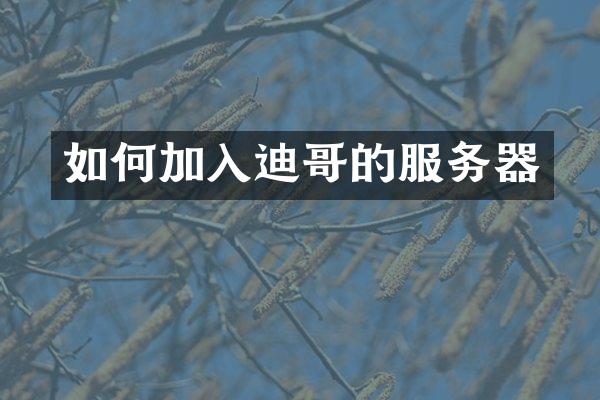 如何加入迪哥的服务器