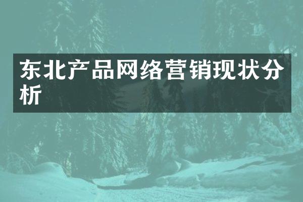 东北产品网络营销现状分析