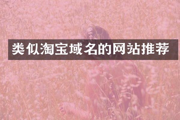 类似淘宝域名的网站推荐