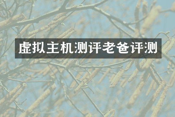 虚拟主机测评老爸评测