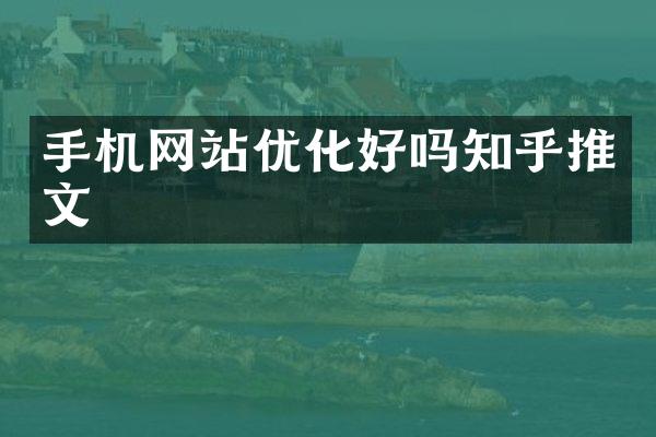 手机网站优化好吗知乎推文