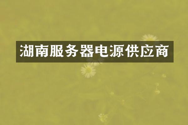 湖南服务器电源供应商