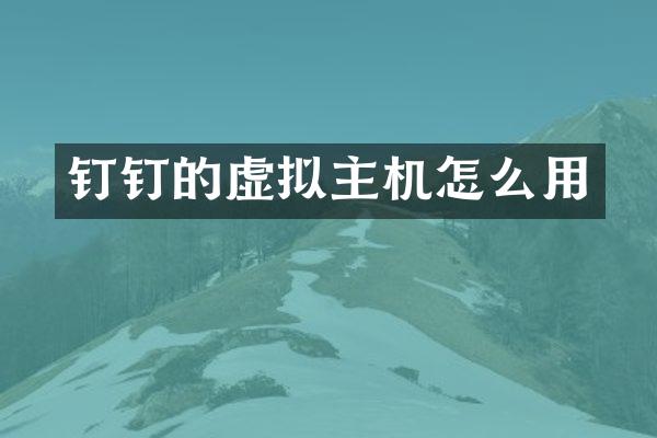 钉钉的虚拟主机怎么用