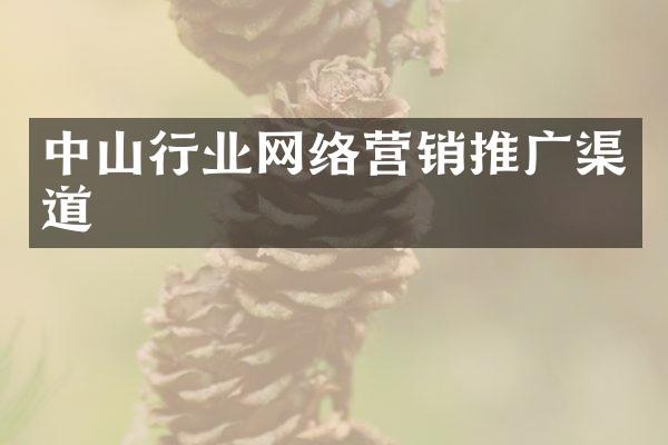 中山行业网络营销推广渠道