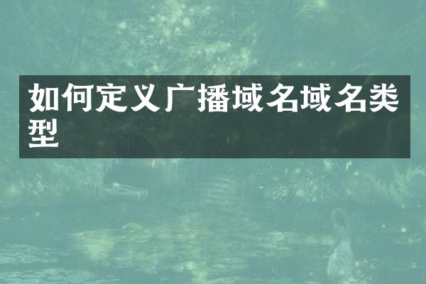 如何定义广播域名域名类型