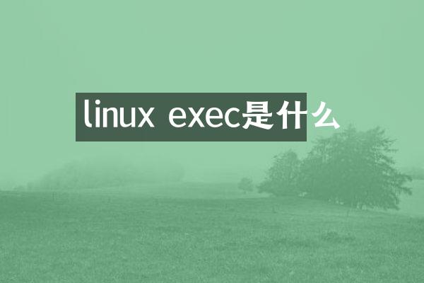 linux exec是什么