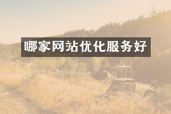 哪家网站优化服务好