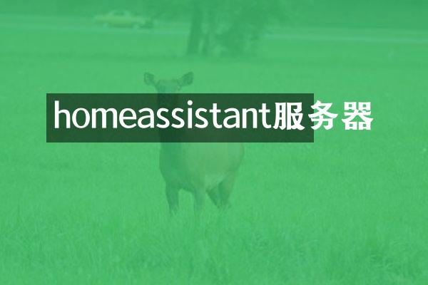 homeassistant服务器