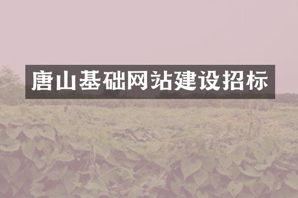 唐山基础网站建设招标