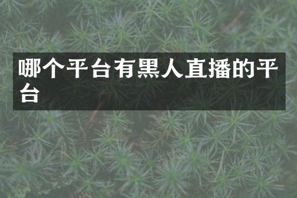 哪个平台有黑人直播的平台