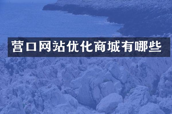营口网站优化商城有哪些