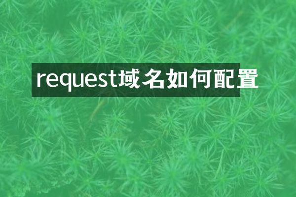 request域名如何配置