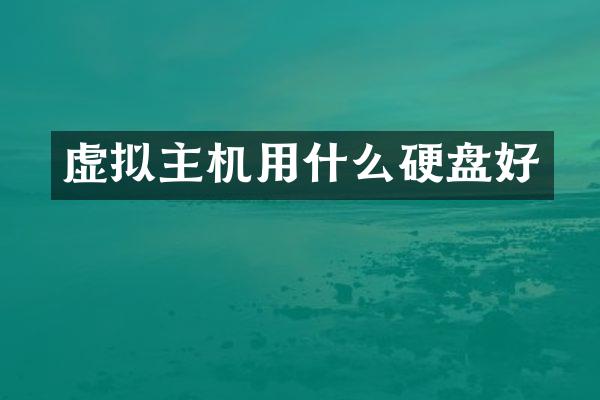 虚拟主机用什么硬盘好