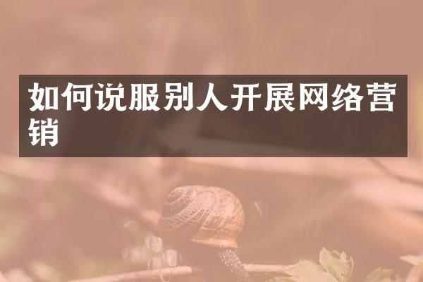 如何说服别人开展网络营销