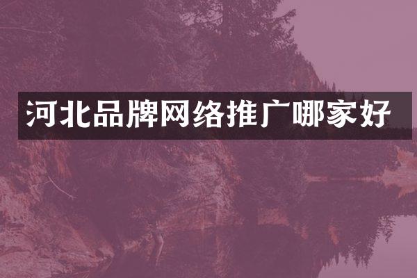 河北品牌网络推广哪家好
