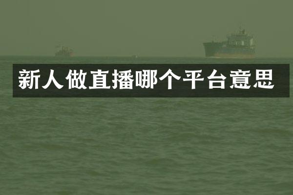 新人做直播哪个平台意思