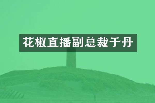 花椒直播副总裁于丹