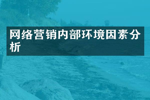 网络营销内部环境因素分析