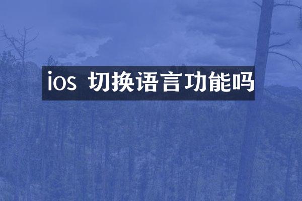 ios 切换语言功能吗