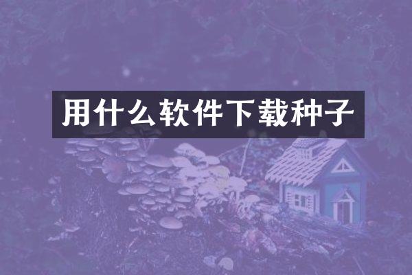 用什么软件下载种子