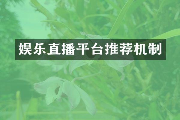 娱乐直播平台推荐机制