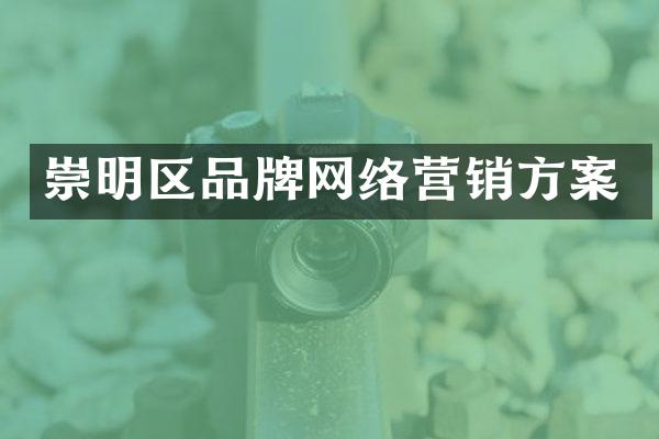 崇明区品牌网络营销方案