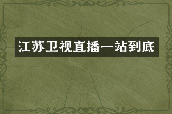 江苏卫视直播一站到底