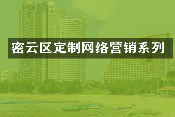 密云区定制网络营销系列