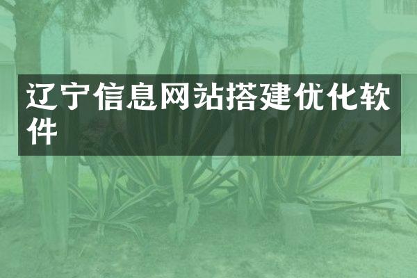 辽宁信息网站搭建优化软件