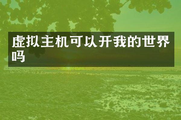 虚拟主机可以开我的世界吗