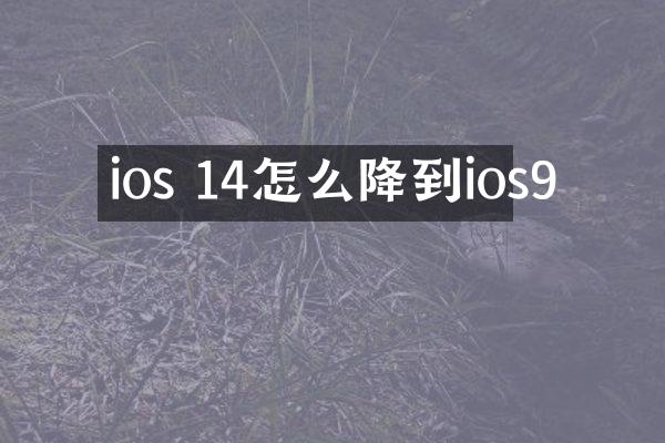 ios 14怎么降到ios9