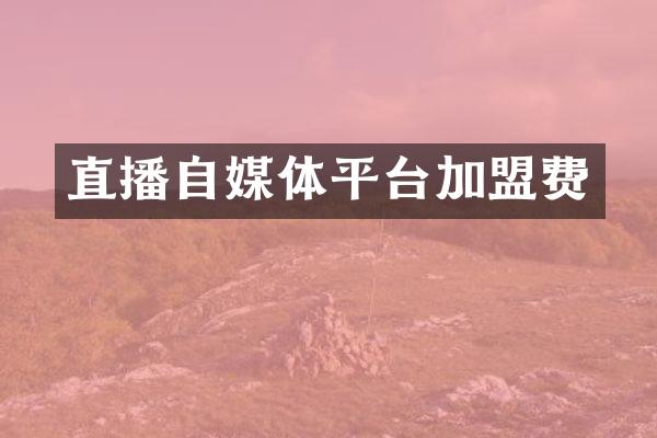 直播自媒体平台加盟费